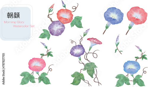 水彩で描いた朝顔のベクター素材のイラストセット