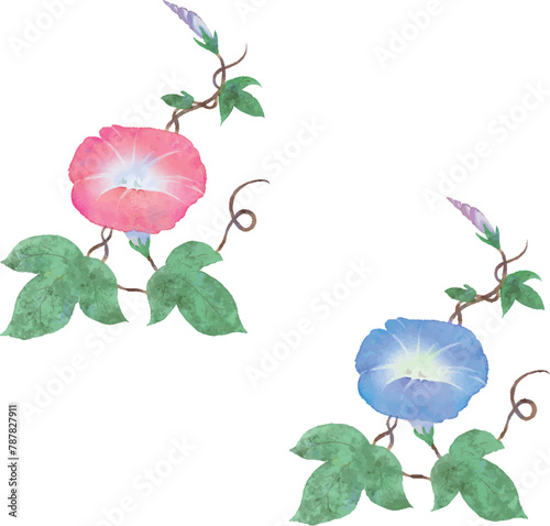 水彩で描いた朝顔のベクター素材のイラストセット