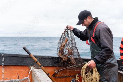 Fisherman holding a net with lobsters on a boat
