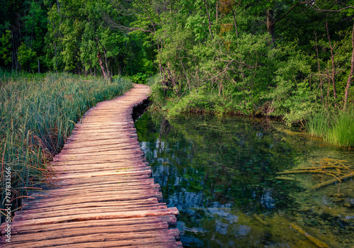 Wooden walkpath in Plitvice National Park. Calm summer scene of green forest with pure water lake. Captivating landscape of Croatia, Europe. Beauty of nature concept background. © Andrew Mayovskyy