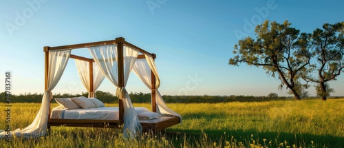 A luxurious canopy bed with sheer curtains, positioned in a serene grassy field under a clear blue sky