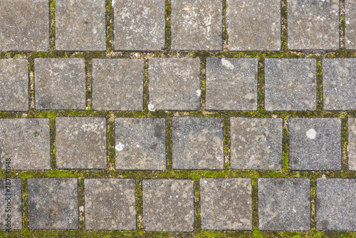 A fragment of an old pavement made of gray antique granite stones of regular square shape. The seams between the cobblestones are overgrown with green moss. Background. Texture.