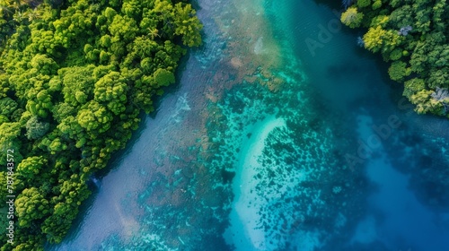 Overhead shot of a dense tropical rainforest leading into a clear blue lagoon