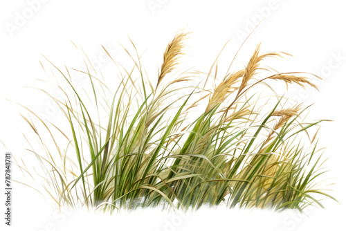 Plant grass tranquility agriculture. AI generated Image by rawpixel.