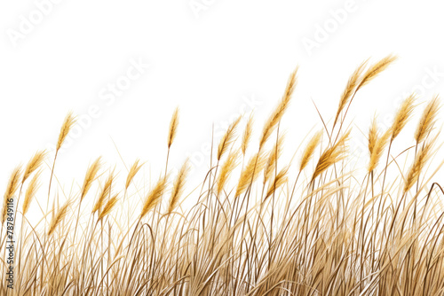Grass plant tranquility vegetation. AI generated Image by rawpixel.