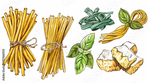Four types of pasta. Hand drawn colored vector set