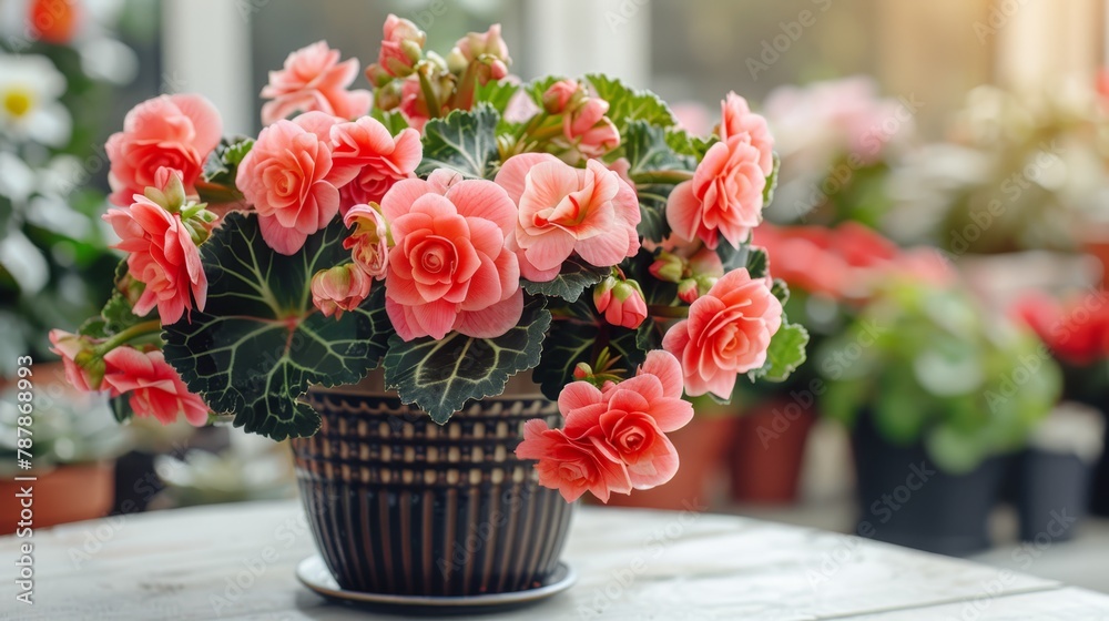 A table holds a potted plant blooming with pink flowers, amidst a room filled with similar floral arrangements A table holds a potted plant blooming with pink flowers, amidst a room filled with similar floral arrangements