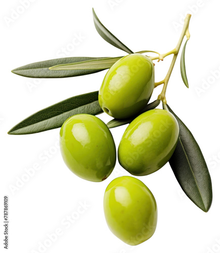 PNG Olive fruit plant food photo
