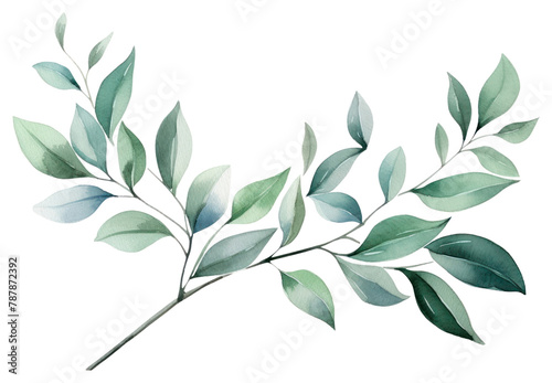 PNG Pattern plant herbs leaf
