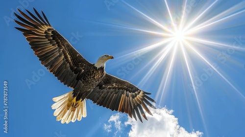   A large bird flies against a backdrop of azure sky  the sun radiating brightly from its midpoint