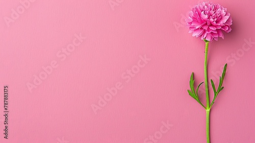  A pink flower against a pink background with two green stems emerging from its center