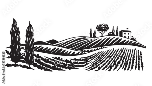 Vineyard landscape, Sketch, hand drawn illustrations