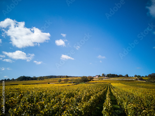 Paysage de vignes en automne. Vignoble de Bourgogne pendant l'automne. Côte-d'Or en automne. Vignes de Meursault. Beauté du vignoble. Grands vins de Bourgogne. Côte de Beaune. Vin et vendanges photo