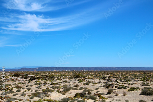 Beach landscape on the coast of Laguna Ojo de Liebre, Baja California Sur, Mexico