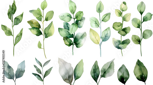 Watercolor floral illustration set green gold leaves, generative Ai photo