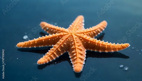 Star-fish