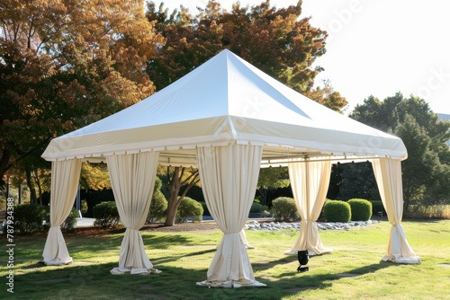 tent support structure