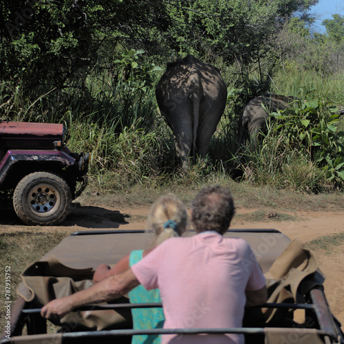 Photography Couple on safari spotting a group of elephants in the savannah