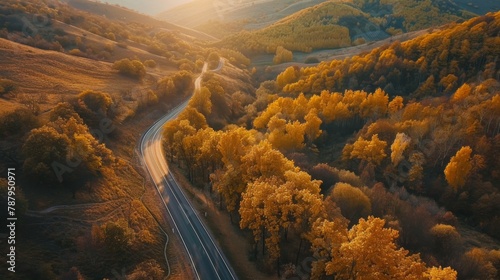 Aerial view of mountain road in autumn forest at sunset in Ukraine. Top view from drone of road in woods. Beautiful landscape with roadway © Plaifah