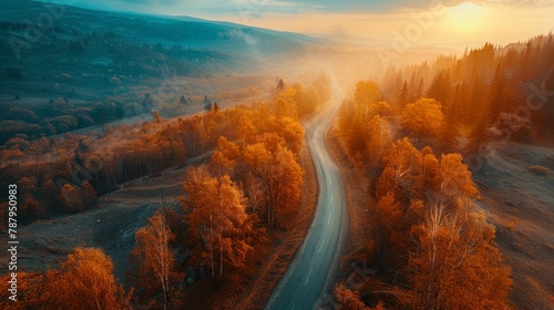 Aerial view of mountain road in forest at sunset in autumn. Top view from drone of road in woods. Beautiful landscape with roadway in hills, pine trees, green meadows, © Plaifah