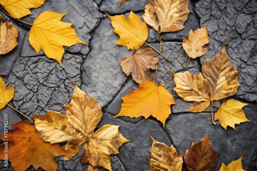 Autumn Background with Yellow Leaves on Old Gray Pavement or Granite Cobblestone Road top View