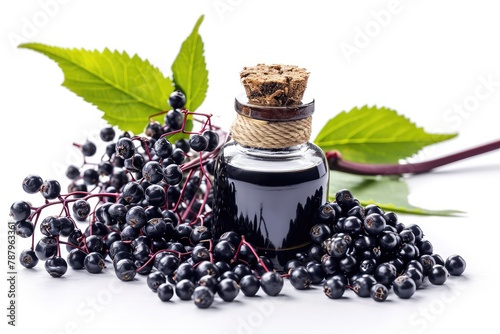 Black Elderberry Oil Isolated, Sambucus Berries Essential Oil, Danewort Fruits Extract, Elderberry Extraction