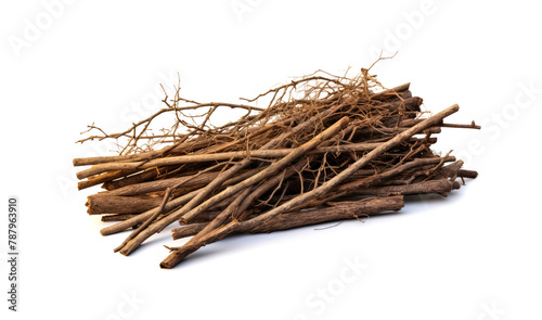Branches pile isolated. Dry twigs pile ready for campfire, sticks, boughs heap for a fire