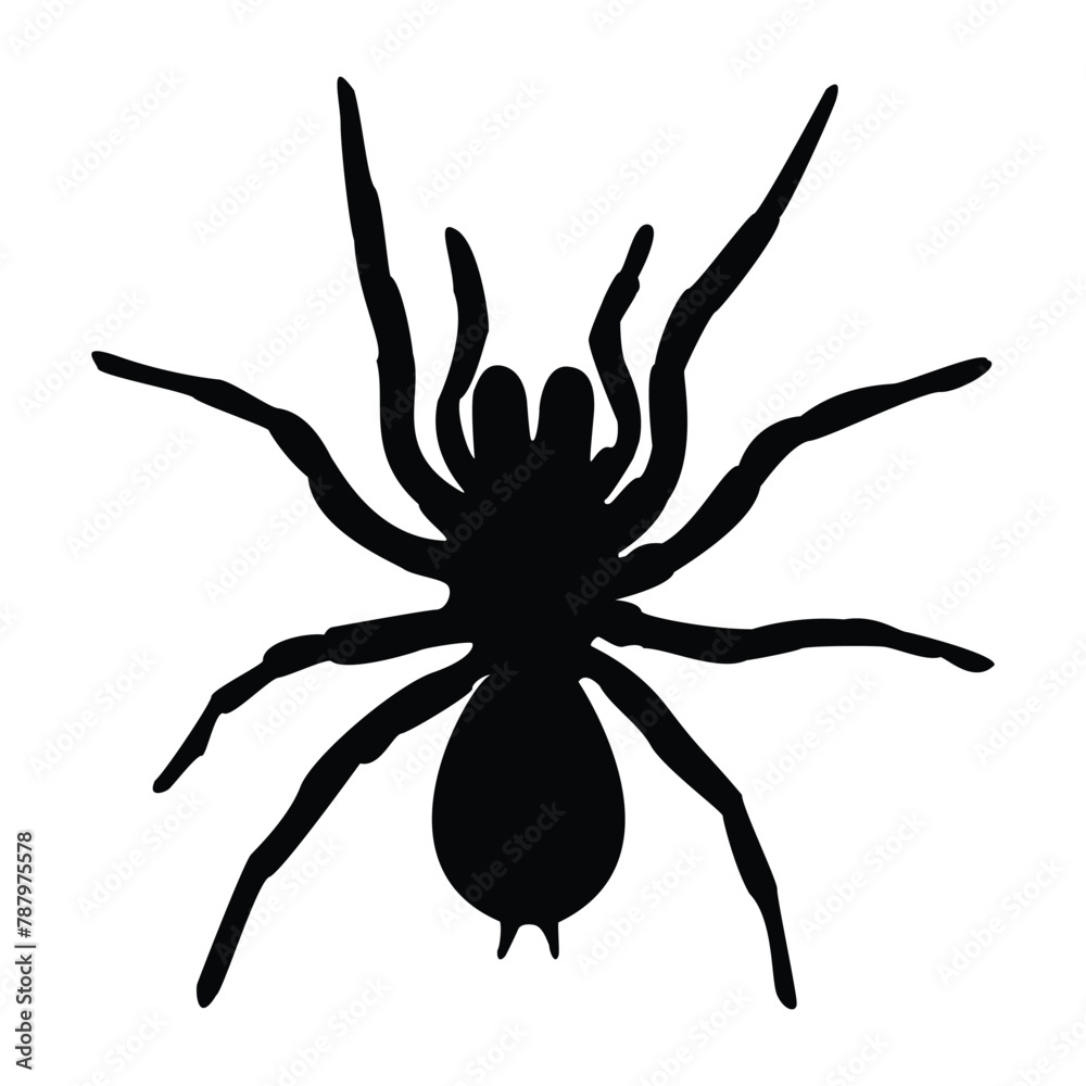 Obraz premium Tarantula spider silhouette, illustration, vector on a white background. Scary big spider-poisonous insect, arachnophobia background.