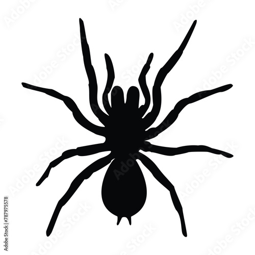 Tarantula spider silhouette, illustration, vector on a white background. Scary big spider-poisonous insect, arachnophobia background.