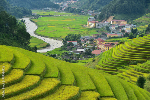 Aerial view of terraced rice fields rising above river and village, Mu Cang Chai, Yen Bai, Vietnam photo