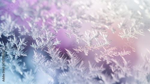 Delicate Frost Pattern, Crystalline Textures, Winter Wonderland Macro Photography