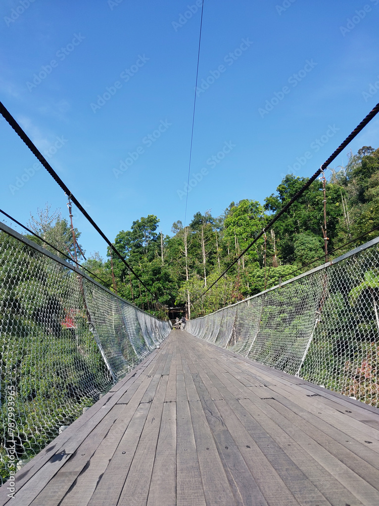view of the suspension bridge in the natural tourist area