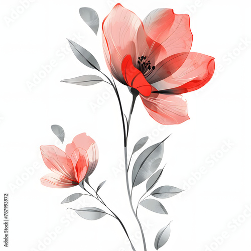 abstract flower illustration isolated on white