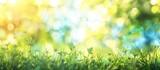 Abstract background in spring with bokeh and sunlight filtering through. Green grass and clear blue skies.