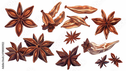 Dry aniseed or star anise. Composition of Chinese win photo