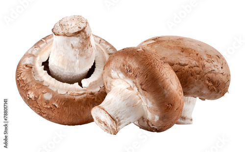 Fresh mushrooms champignon isolated. Organic natural food. PNG. © Yasonya