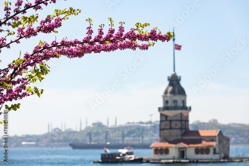 Judas Tree in the Maiden's Tower (Kiz Kulesi) Photo, Uskudar Istanbul, Turkiye (Turkey) photo