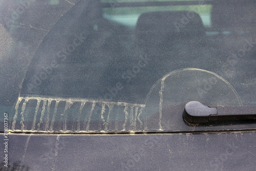 Saharastaub der sich in Süddeutschland nach Blutregen als dicke Schmutzschicht auf einem Auto niedergelassen hat und Pollen, Blütenstaub und nun eine Autowäsche von dem Autolack erforderlich macht.