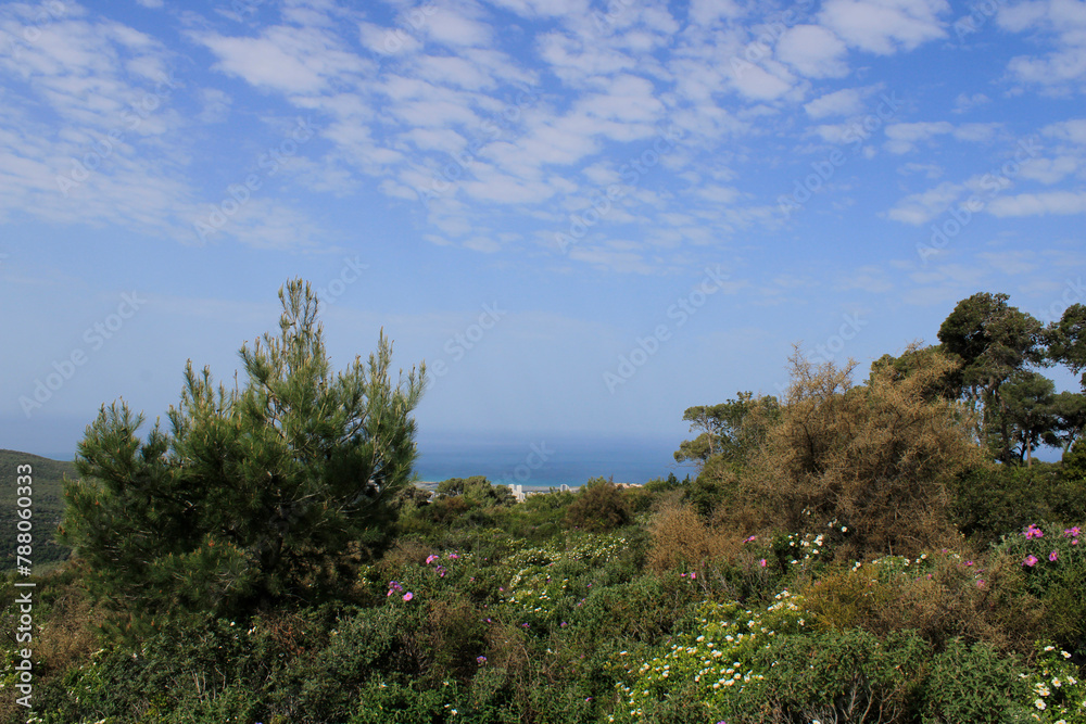 Obraz premium This captivating image captures the beauty of Park Carmel in Haifa, Israel. The city of Haifa sprawls across the horizon, with its modern buildings contrasting with the natural landscape. 
