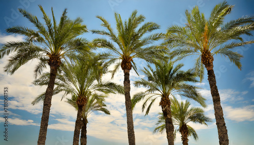 Palm Trees against Sky background. Generative AI.