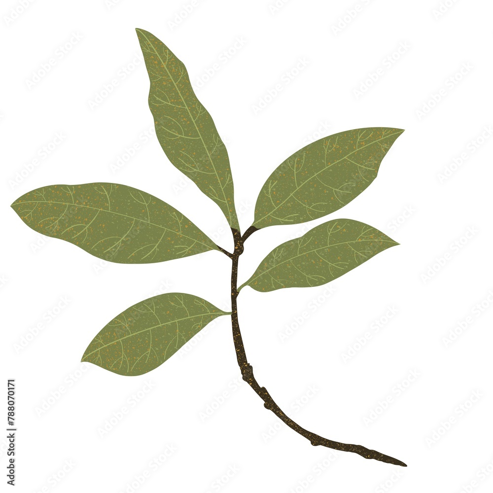 twig with green texture leaves on white background twig with green texture leaves on white background