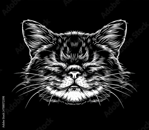 Monochrome illustration of a cat with a squished face on a black background photo