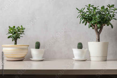Template with houseplants on wooden table. 