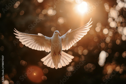 colombe, symbole de la paix, en vol de face photo