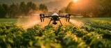 Drone Spraying Crops at Sunset: Agricultural Innovation Meets Nature. Concept Agricultural Innovation, Drone Technology, Crop Spraying, Sunset Photography, Nature Conservation
