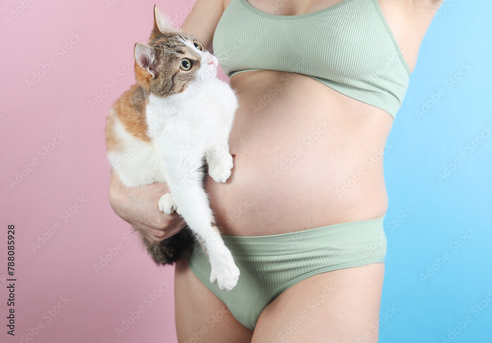 Pregnant woman in underwear with cute cat on blue pink background Pregnant woman in underwear with cute cat on blue pink background