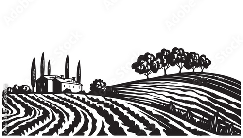 Vineyard landscape, Sketch, hand drawn illustrations.	
