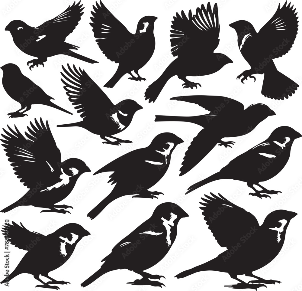 Set of sharp and realistic black sparrow bird silhouettes Set of sharp and realistic black sparrow bird silhouettes
