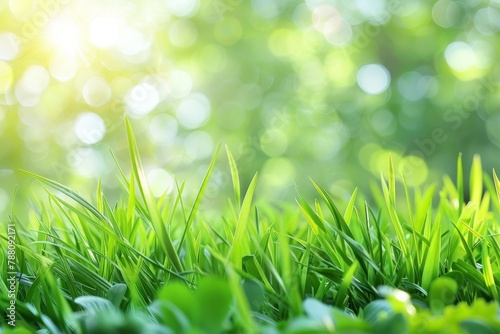 Defocused sunny spring meadow blur with blue sky to green grass gradient bokeh background