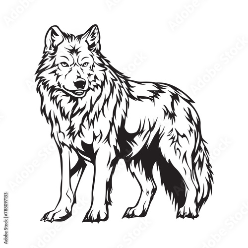 Siberian Husky. Vector illustration Stock Vector
